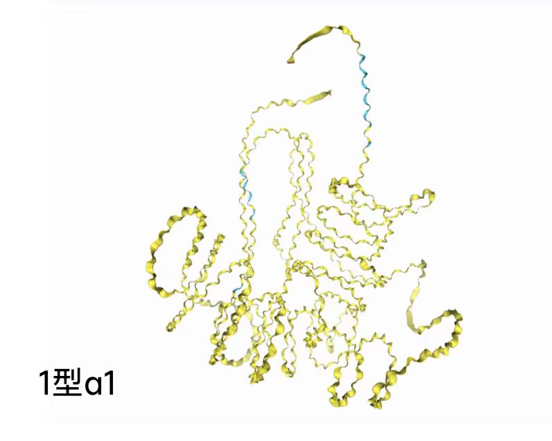 1068蛋白三维结构