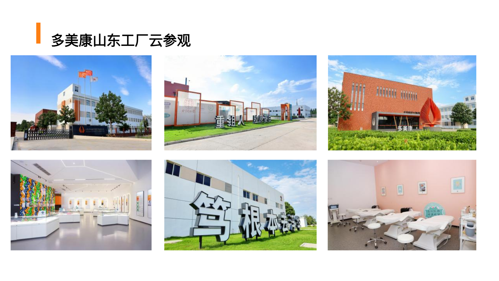 多美康山东工厂与研发制造基地