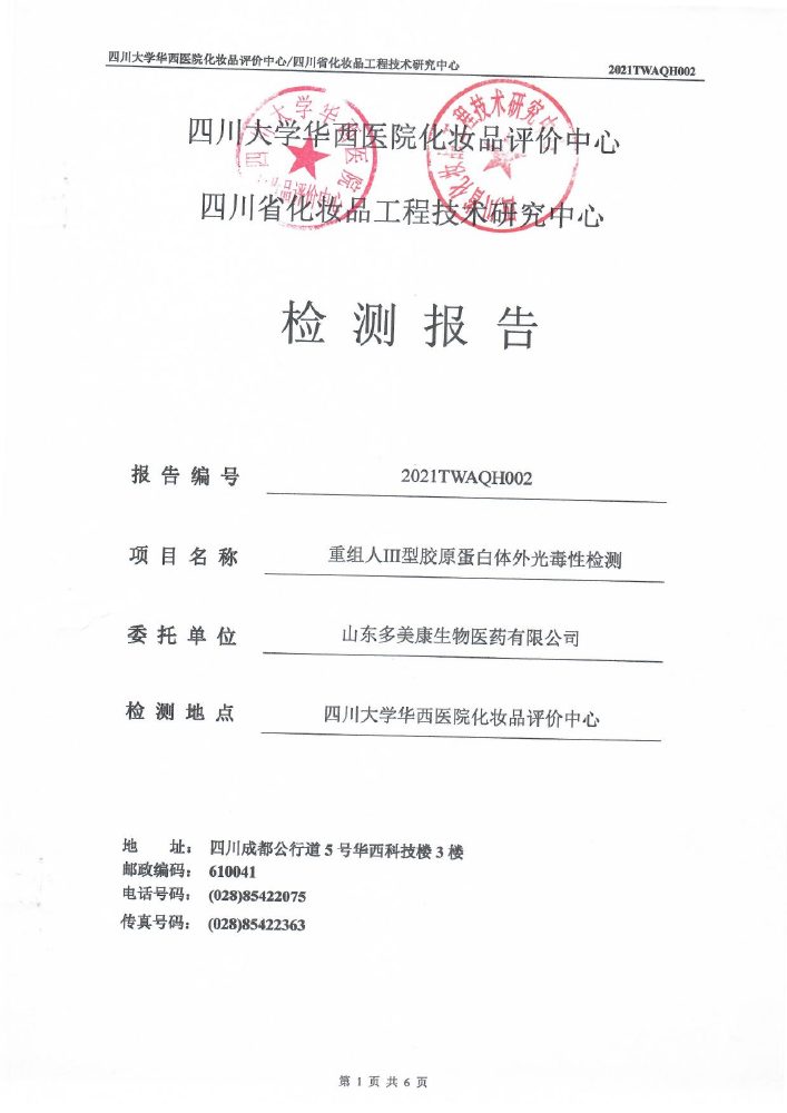 检测报告预览